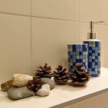 Apartament Smilciu *