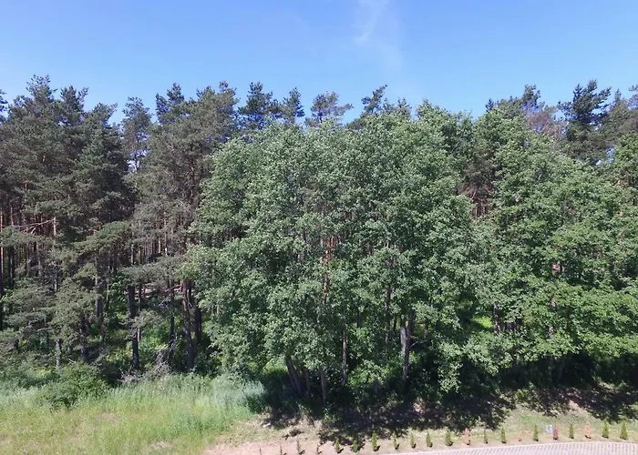 Smilciu Апартаменти *